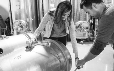 Business Feature: Enotap